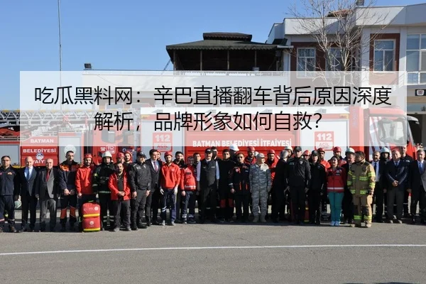 吃瓜黑料网：辛巴直播翻车背后原因深度解析，品牌形象如何自救？